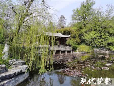 关于植树节的名言名句,关于植树节的名言句子