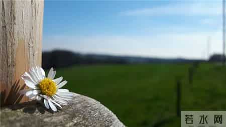 早会激励小故事,早会短小激励小故事