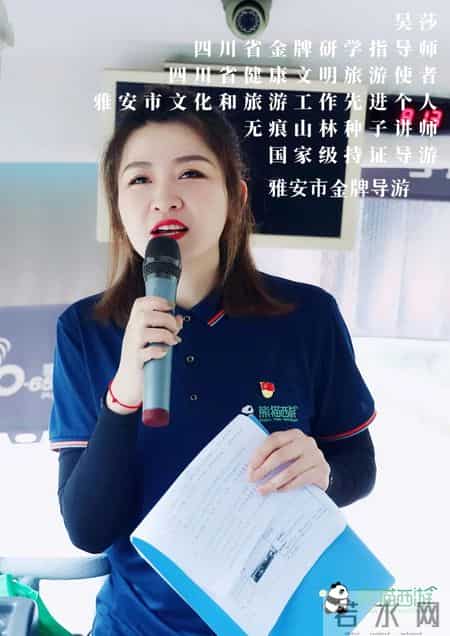 三八节活动方案