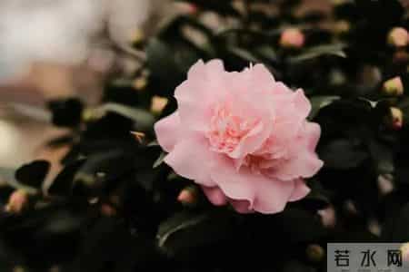 为了家不散，请在六十岁和子女谈谈钱