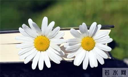 又要离开家的心情短语,准备分手时发的伤感说说，细数你的回忆