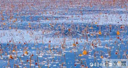 告别2022,告别,2022年