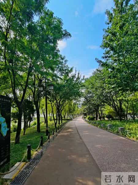 国学经典贤文观后有感