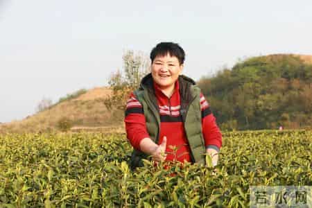 巾帼建功标兵事迹材料,巾帼建功标兵个人简介