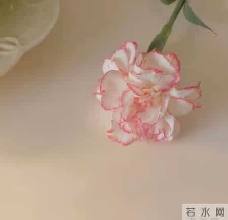 你值得拥有,小众文案你值得拥有