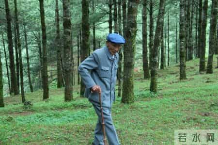 学习杨善洲先进事迹,杨善洲先进事迹观后感