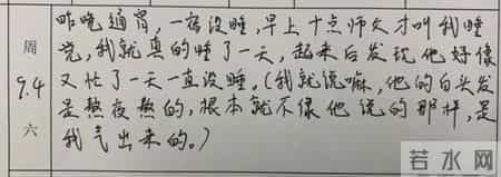 这份实习日记，火了