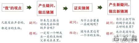 作为生物的社会教案