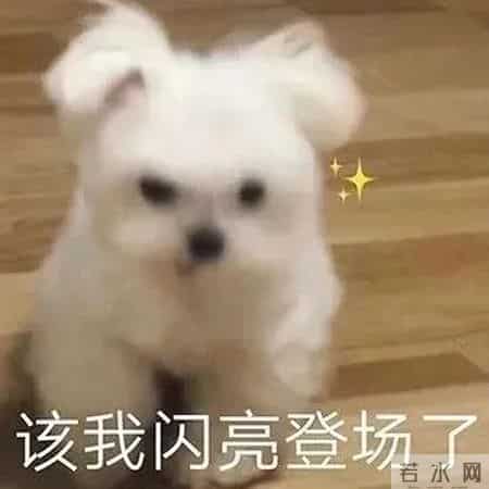 自我介绍模板大学生