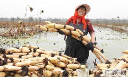 看！这幸福的百元大钞