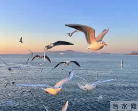 今日文案丨“落落大方的快乐短句文案”