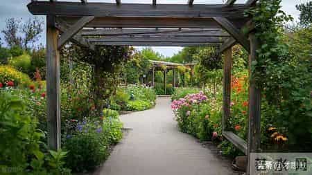 与迷茫和痛苦共舞,你真的懂得蜕变的意义吗？