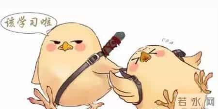 司考复习计划,司法考试复习攻略