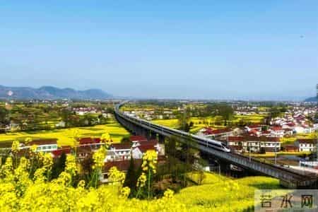 G3359次，小编墙裂推荐！