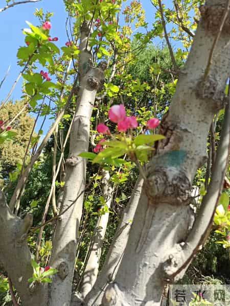 北京导游词,云游中国 - 北京地坛公园