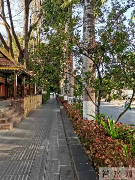 美丽的西双版纳作文,美丽的西双版纳作文400野象谷