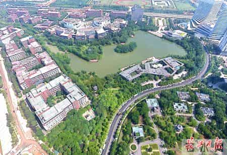 齐聚国内头部医药企业追赶“第一梯队”——来自武汉大健康产业调研报告