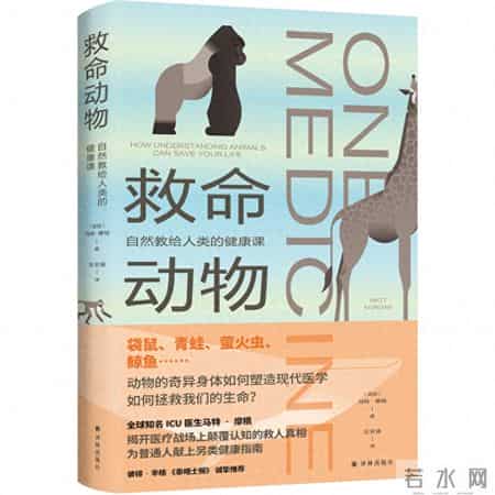 动植物的启示,动植物的启示作文550字