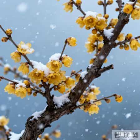 抒情散文·《时光煮雨，岁月回甘》