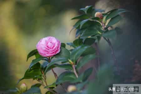 怎样做人,为人处世大全，建议收藏