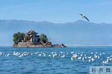 以国庆节为主题的作文