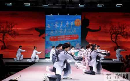 跨越百年的美丽教案