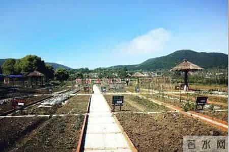 「出游好时节·遇见荆门」给你的心灵放个假，来荆门这些地方，寻觅田园诗意慢生活