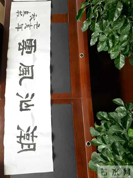 运动会方阵解说词,同仁教育集团运动会新发中英文学校入场解说词