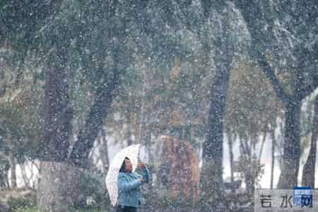 雪中即景作文,雪中即景作文350字