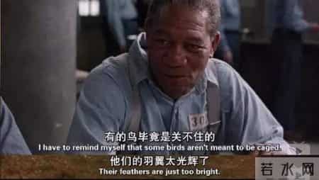 我变小学一年生,我变小学一年生几个孩子