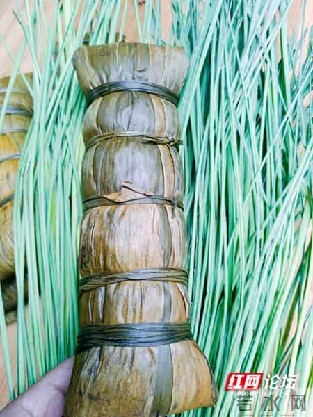 端午节广告语,端午节美食上线,有“料”的溆浦枕头粽一口下去超满足