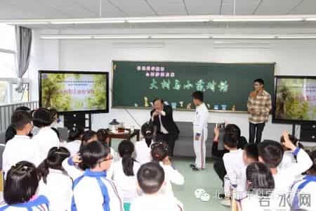 小苗与大树的对话教案,大树与小苗的对话