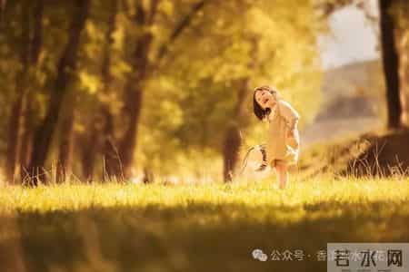 这天我回家晚了作文,【七年级作文：热爱生活，热爱写作】张诗杭《懂》（47）