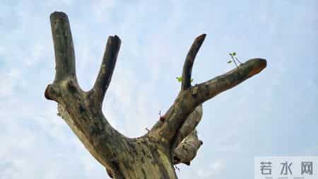 生活中的困难,生活中的困难作文600字