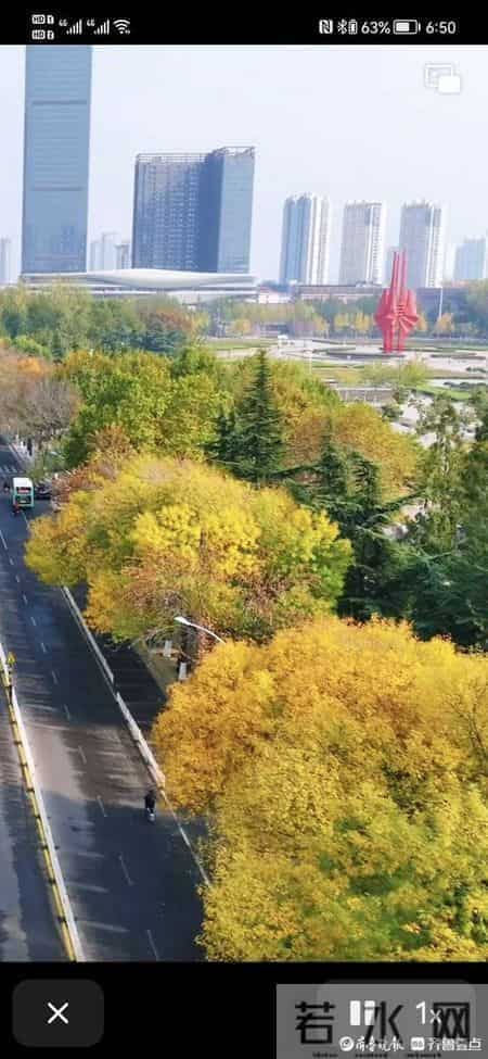 散文：《家乡的秋色》