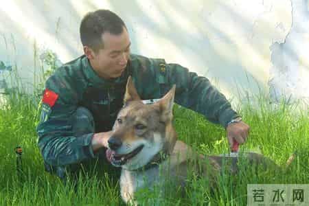 优秀班组事迹材料