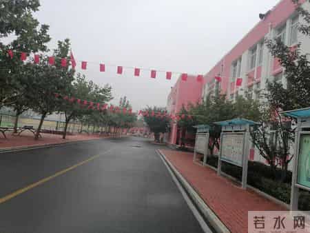 快乐是什么 作文,小学生同步优秀作文（18）我是一只快乐的小鸟