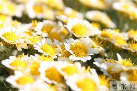 晨风吹阳光照,早上好！简单又随意的个性签名，句句真理，读一遍受益终身