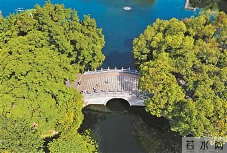 砾岩无石笑声高打一字