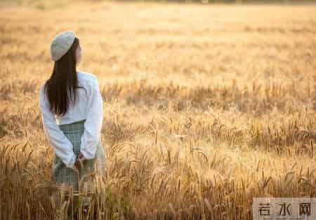 学会感恩作文,治愈自己最好的方式:学会感恩