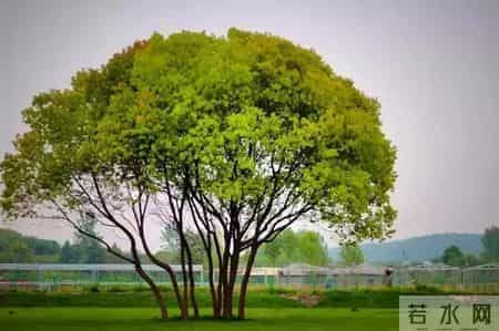 江北地图 - 最全春游打卡地，速度收藏起来！