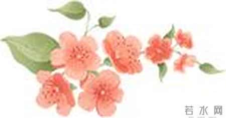 2017国际护士节,2020国际护士节