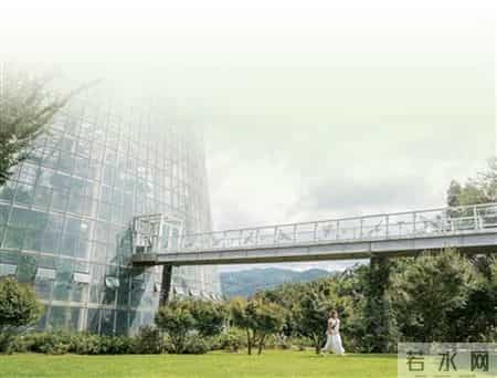 奇趣植物在我家