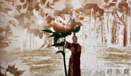 口若悬河滔滔不绝打一电影名