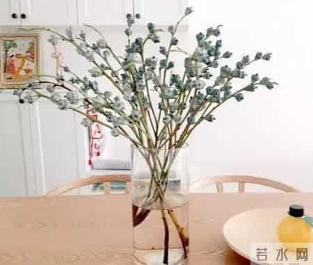 20种花材的插花方法，不会插花看这里