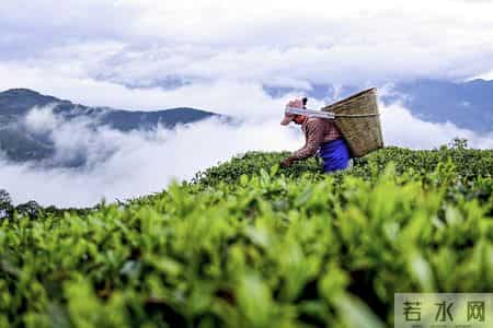 让真情自然流露作文450字左右,我的光影故事2025｜在无量山间，我用镜头读懂乡土中国