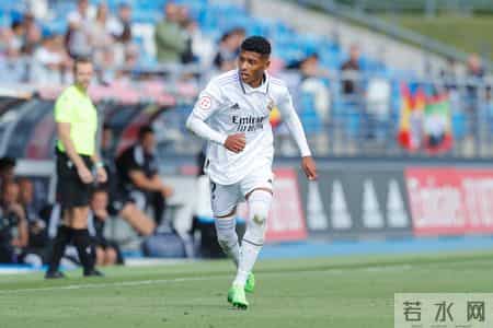 乌克兰巨猫angie