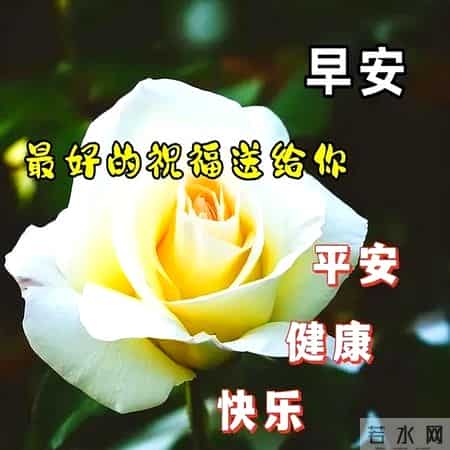 工作顺利的祝福语,今日清晨祝福早上好语句，优美祝福语吉祥话，愿你精神棒棒