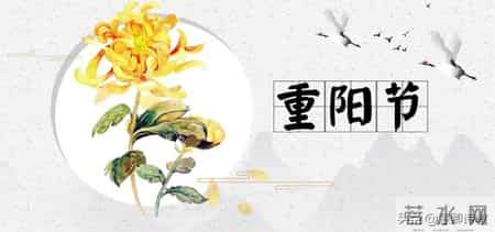 传统节日的作文,关于传统节日的作文