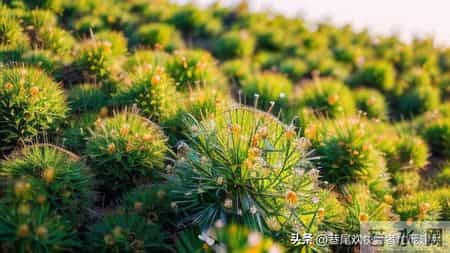 我很忙但很快乐,我很忙但我很快乐